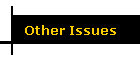 Other Issues