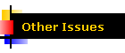 Other Issues