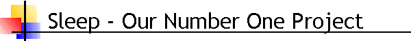 Sleep - Our Number One Project